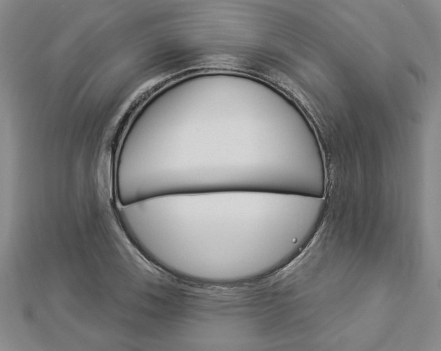 X0000112981123200908270912