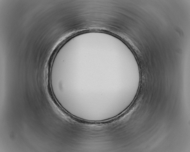 X0000112981126200908270913