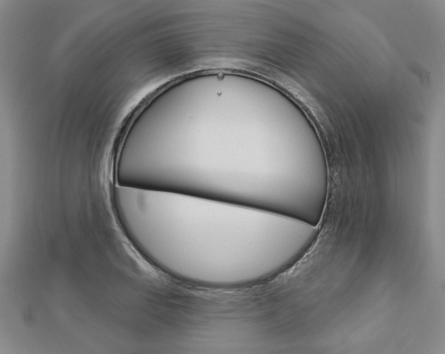 X0000112981127200908270913