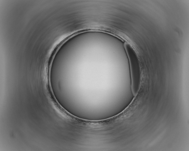 X0000112981128200908270913