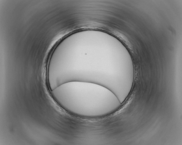 X0000112981130200908270913