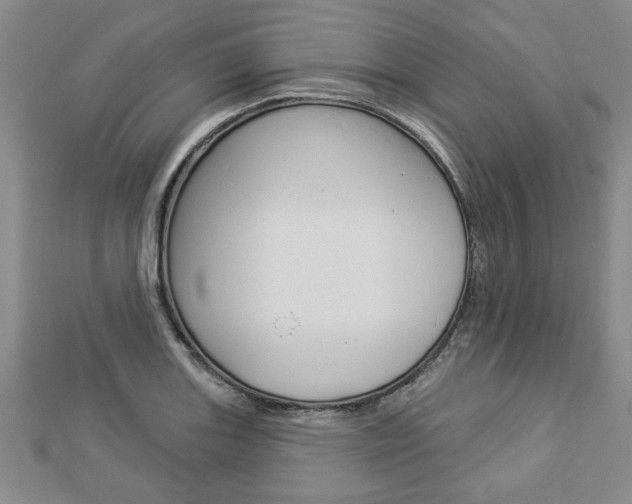X0000112981131200908270913