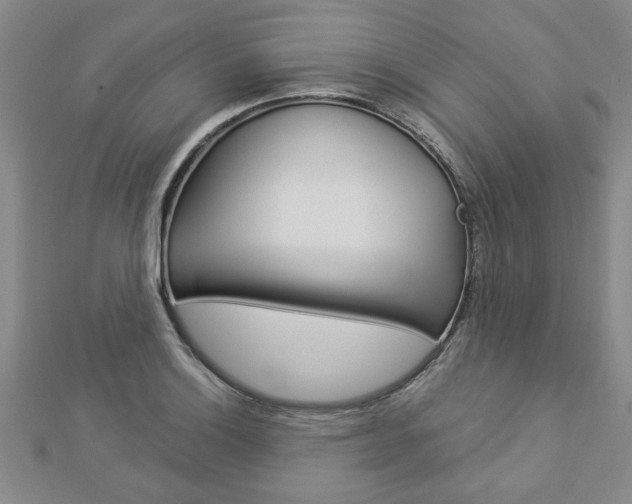 X0000112981132200908270913