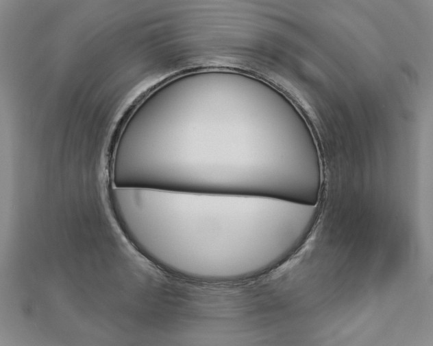 X0000112981133200908270913