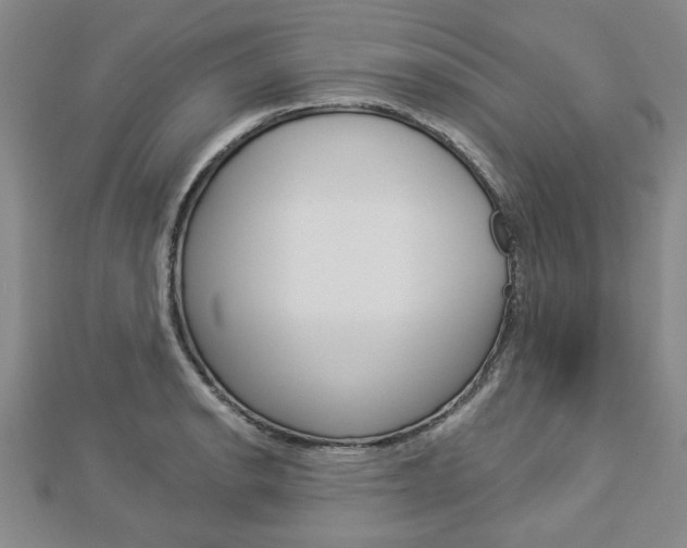 X0000112981134200908270913