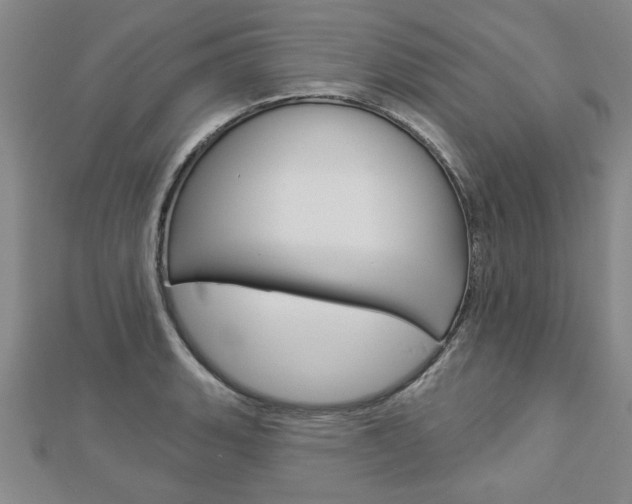 X0000112981135200908270913