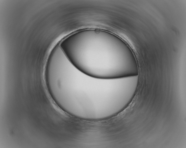 X0000112981136200908270913