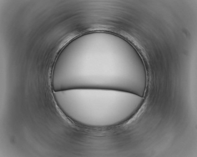 X0000112981137200908270913