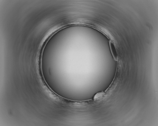 X0000112981138200908270913