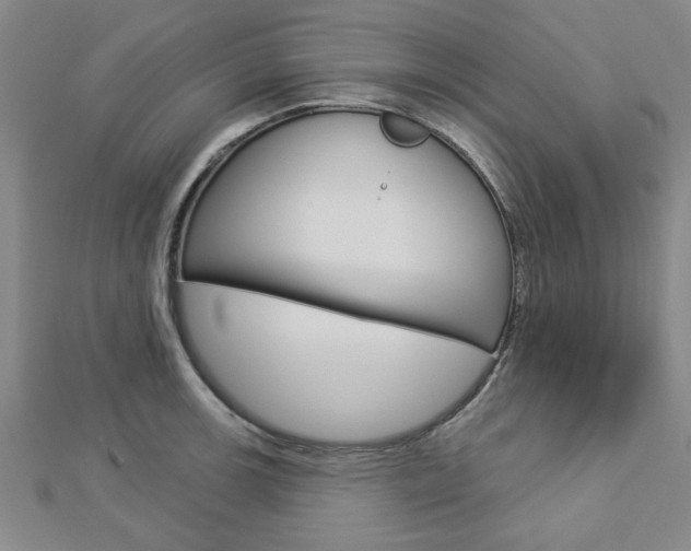 X0000112981139200908270913