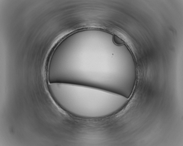 X0000112981141200908270913