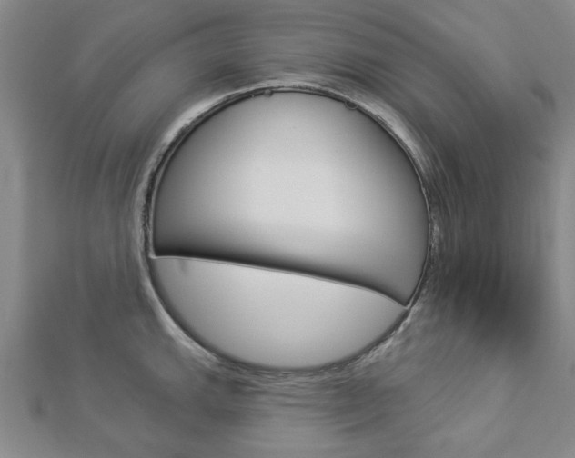 X0000112981143200908270913