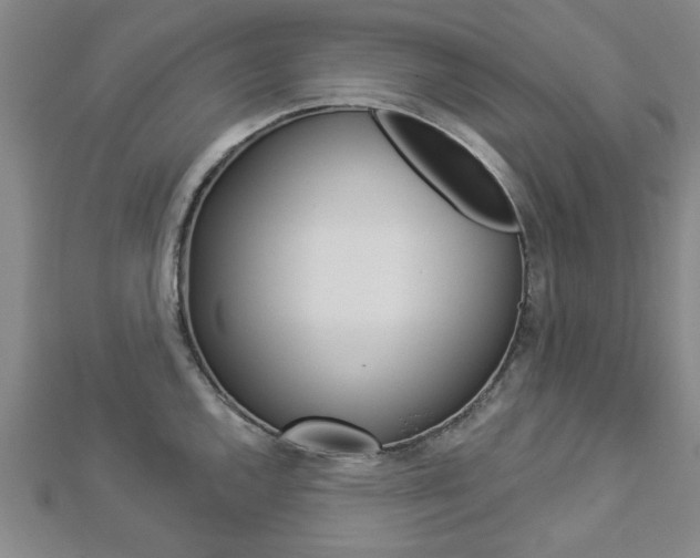 X0000112981144200908270913