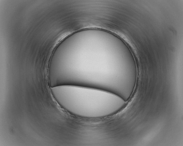 X0000112981145200908270913