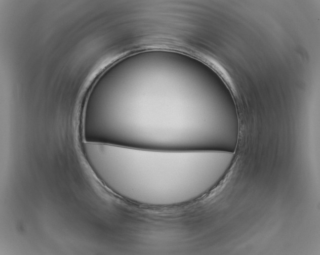 X0000112981146200908270913