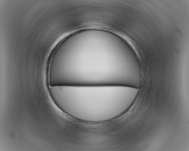 X0000112981147200908270913