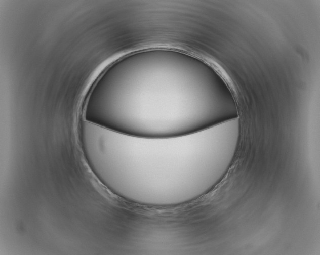 X0000112981148200908270913