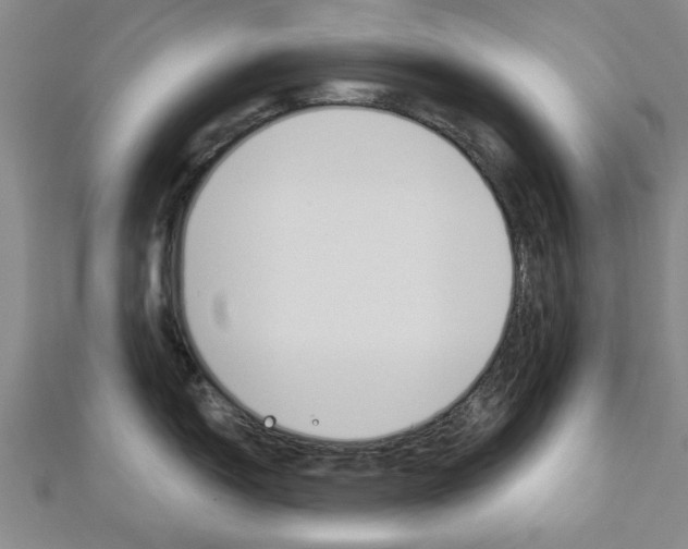 X0000112981150200908270913