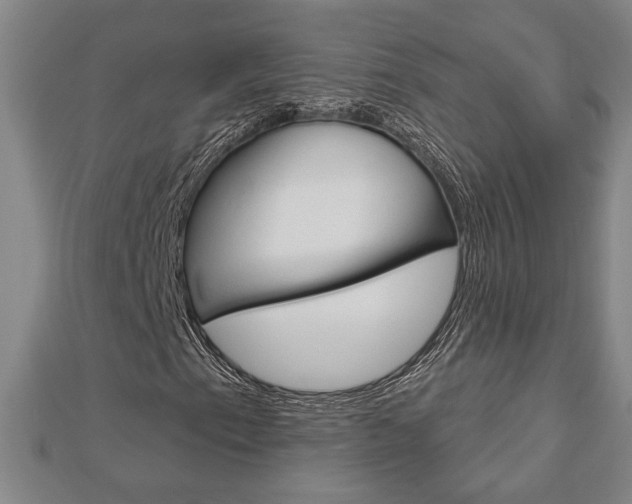 X0000112981153200908270912