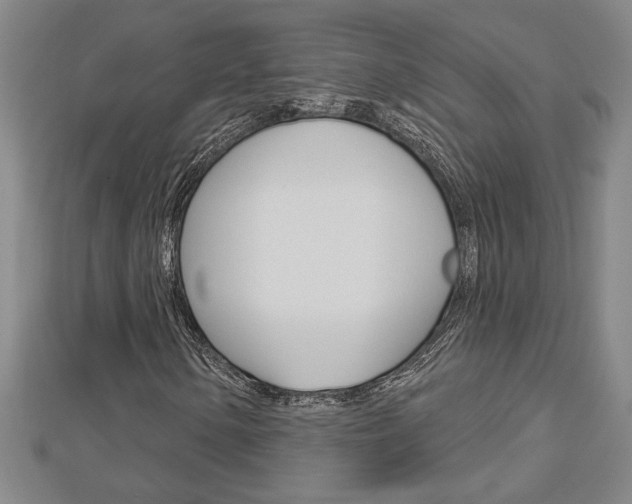 X0000112981154200908270912