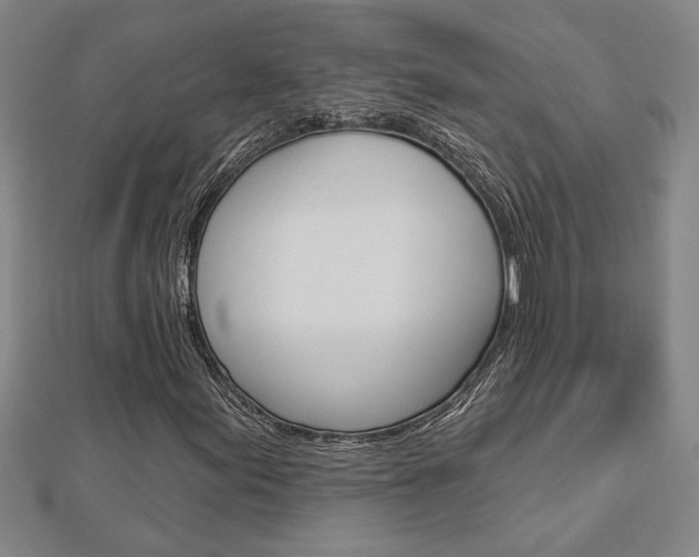 X0000112981155200908270912