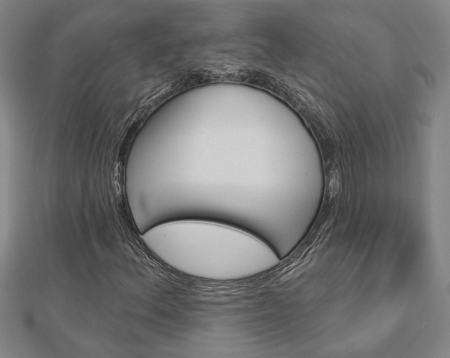 X0000112981156200908270912