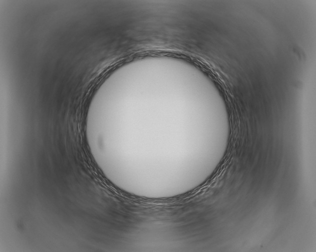 X0000112981157200908270912