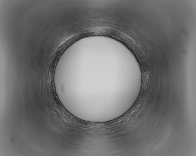 X0000112981158200908270912