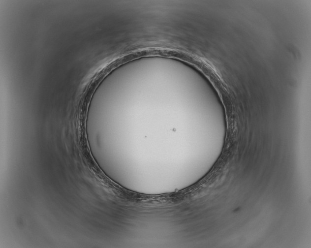 X0000112981159200908270912