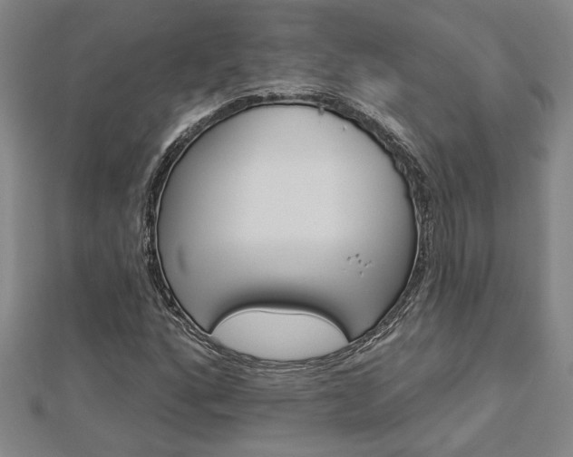 X0000112981160200908270912