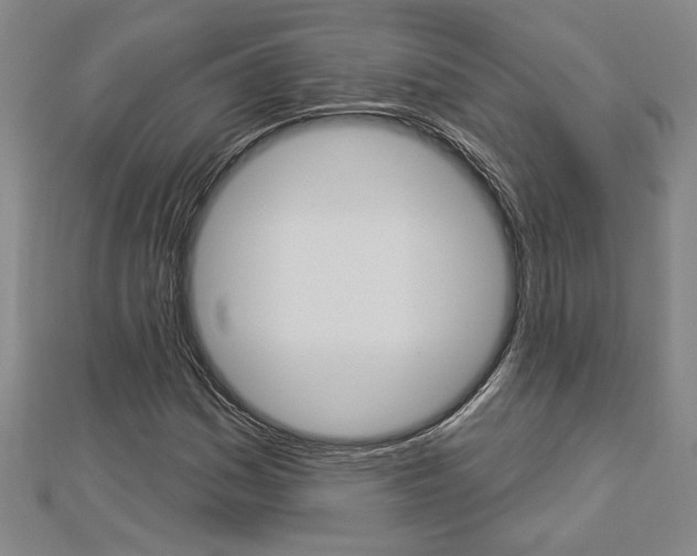 X0000112981161200908270912