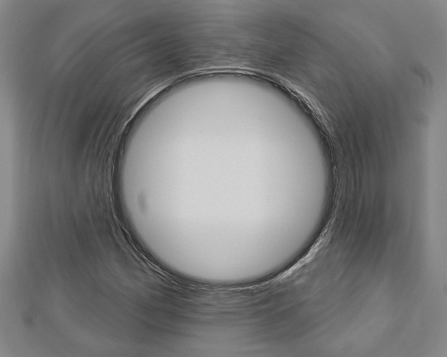 X0000112981162200908270912