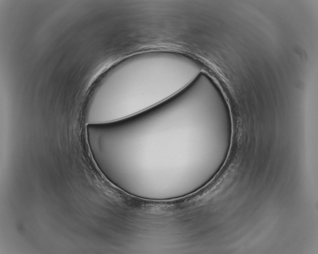 X0000112981163200908270912