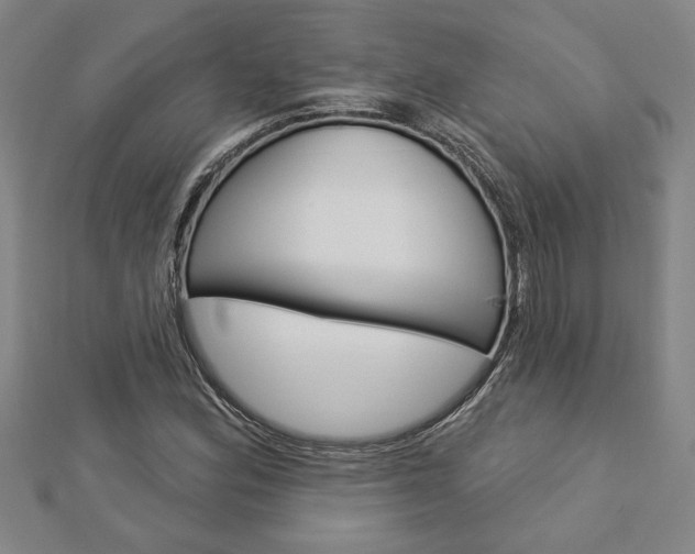 X0000112981164200908270912