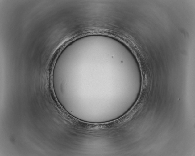 X0000112981165200908270912
