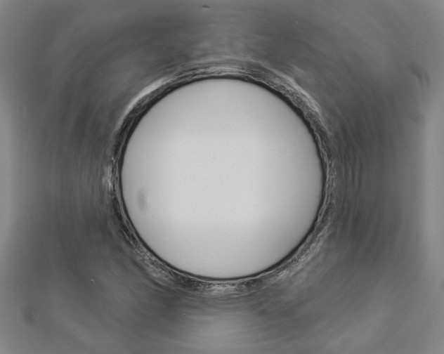 X0000112981166200908270912