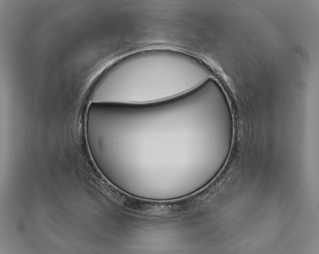 X0000112981167200908270912