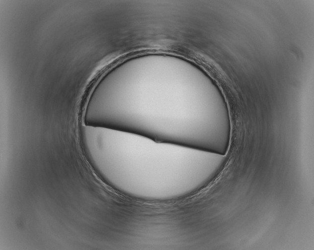 X0000112981168200908270912