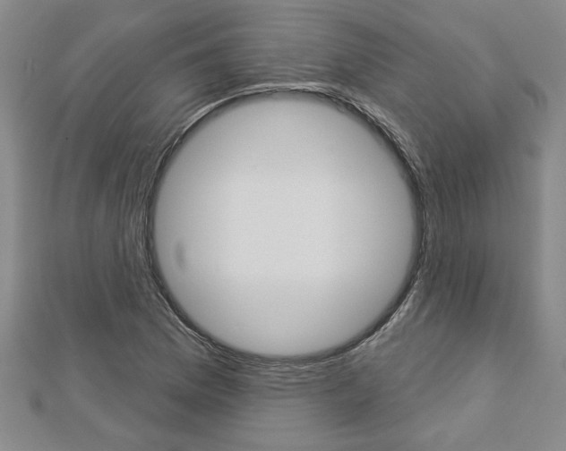 X0000112981169200908270912