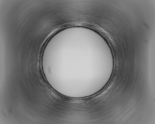 X0000112981170200908270912