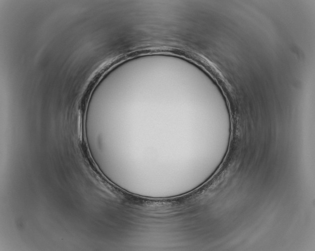 X0000112981171200908270912
