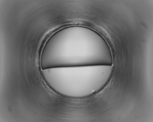 X0000112981172200908270912