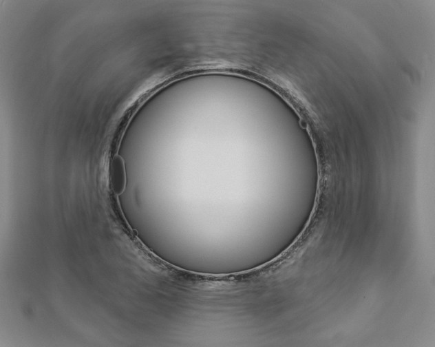 X0000112981173200908270912