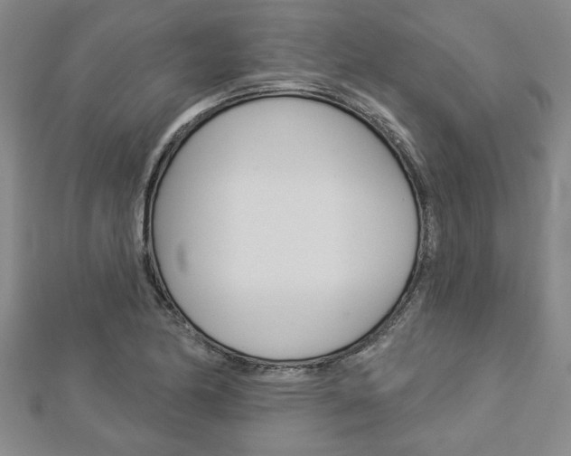 X0000112981174200908270912