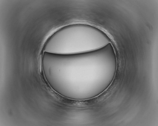 X0000112981175200908270912