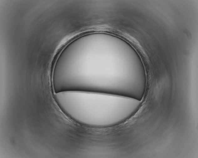 X0000112981176200908270912