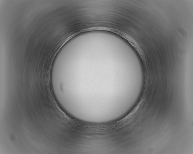X0000112981177200908270912