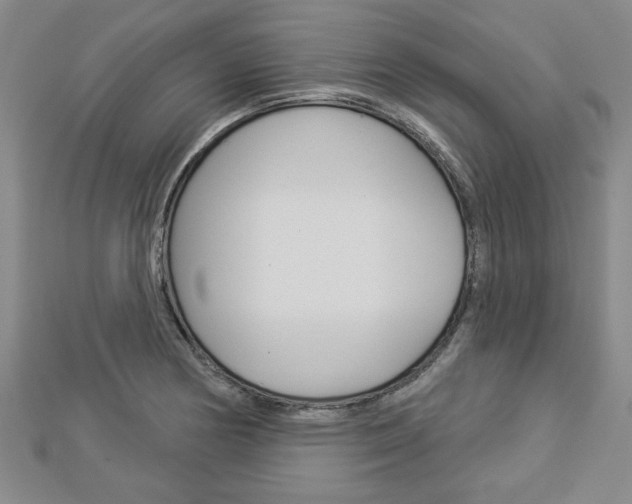 X0000112981178200908270912