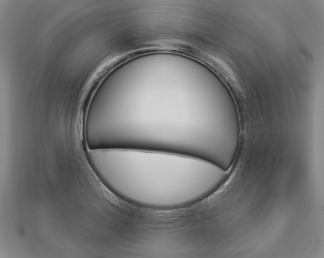 X0000112981180200908270912