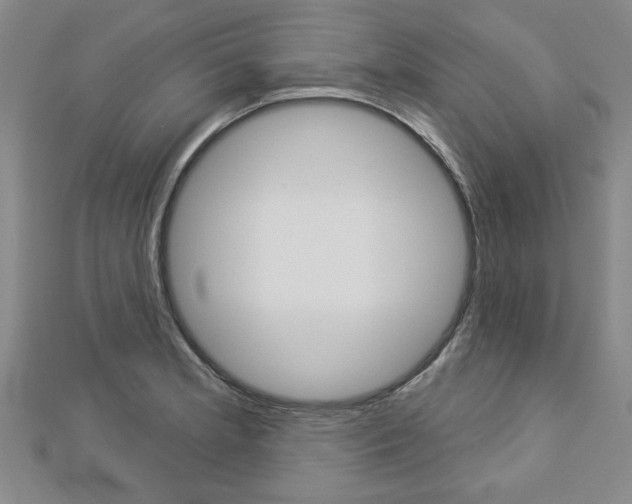 X0000112981181200908270912
